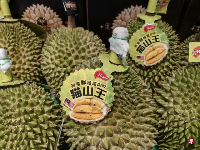 �����ظ壺��ս̩��������λ ����Խ������� ���ʰ����й��г�