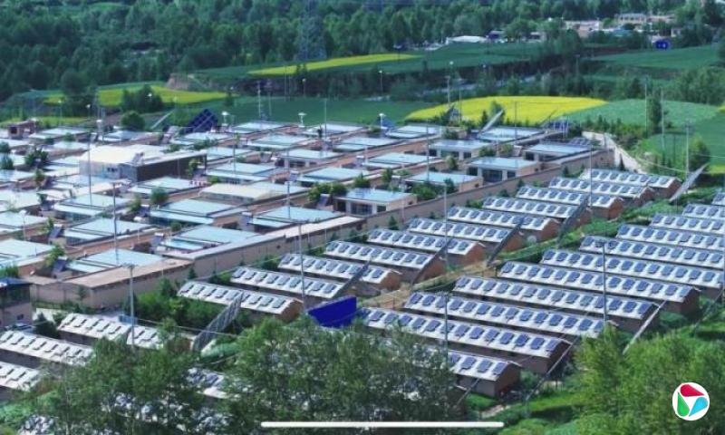 巨额亏损下 中国五大光伏龙头去年大裁员近9万人