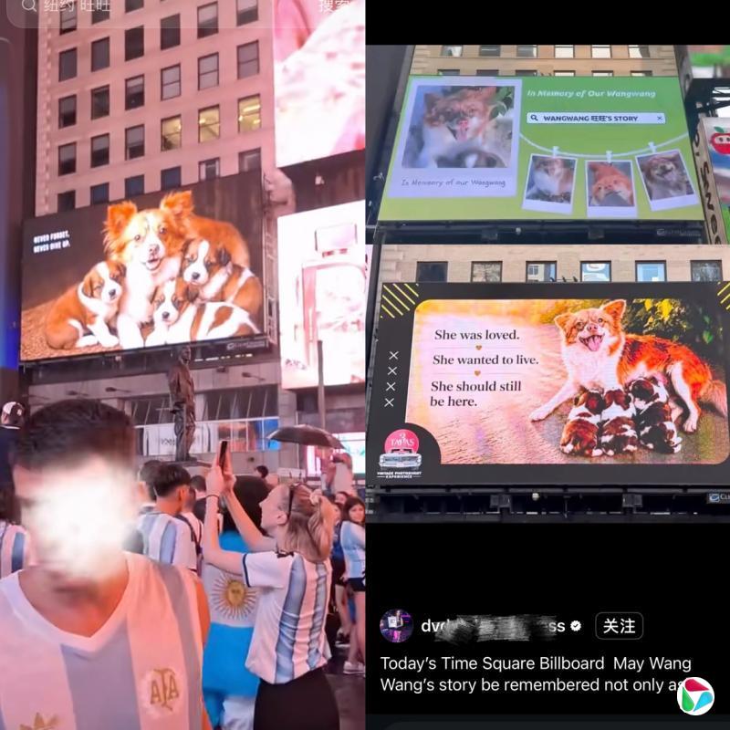 ����죺�㶫����Ű���¼����鴫������