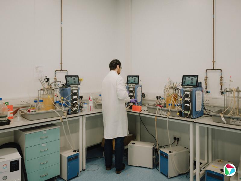 C3 Biotech�Ѵӵ¹���������SPRIND��ùؼ��ʽ�