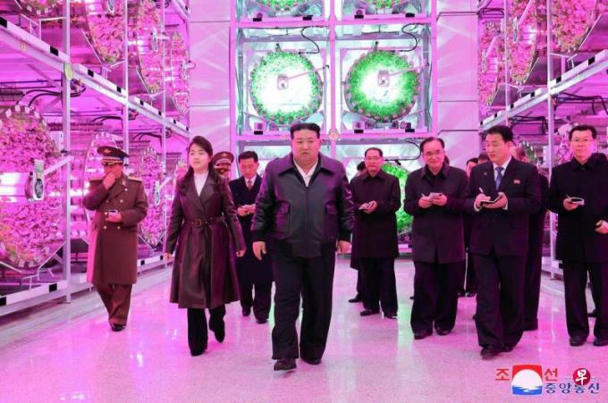 朝鲜官媒尊称金正恩女儿“伟大的向导者”