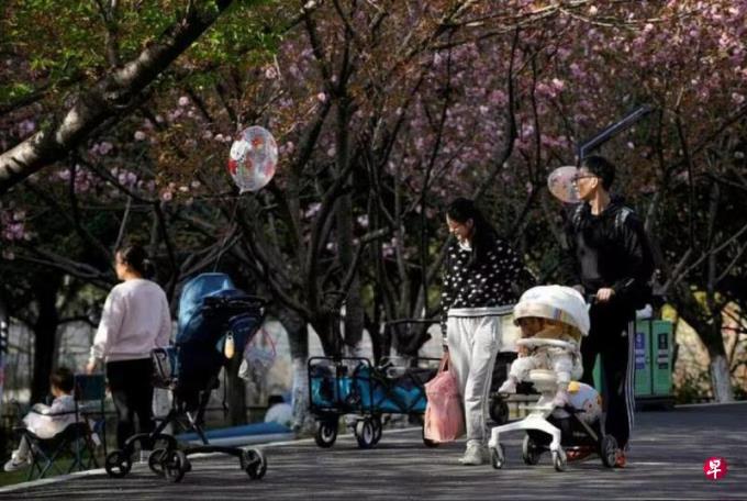 中国基层部门频致电女居民疑“催生”