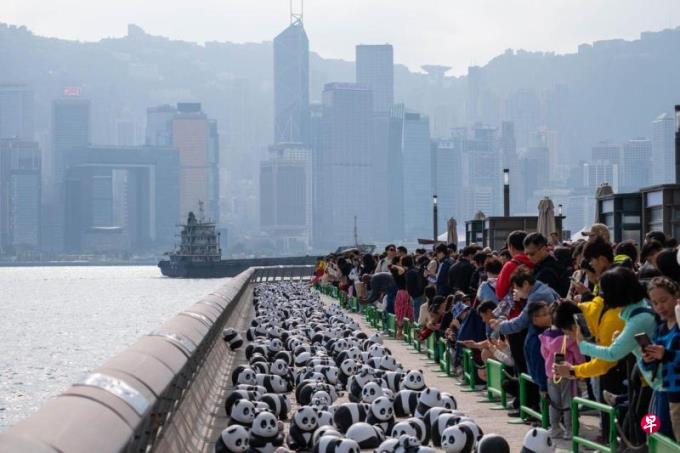 香港特稿:六大熊猫聚港 卖萌力挺经济