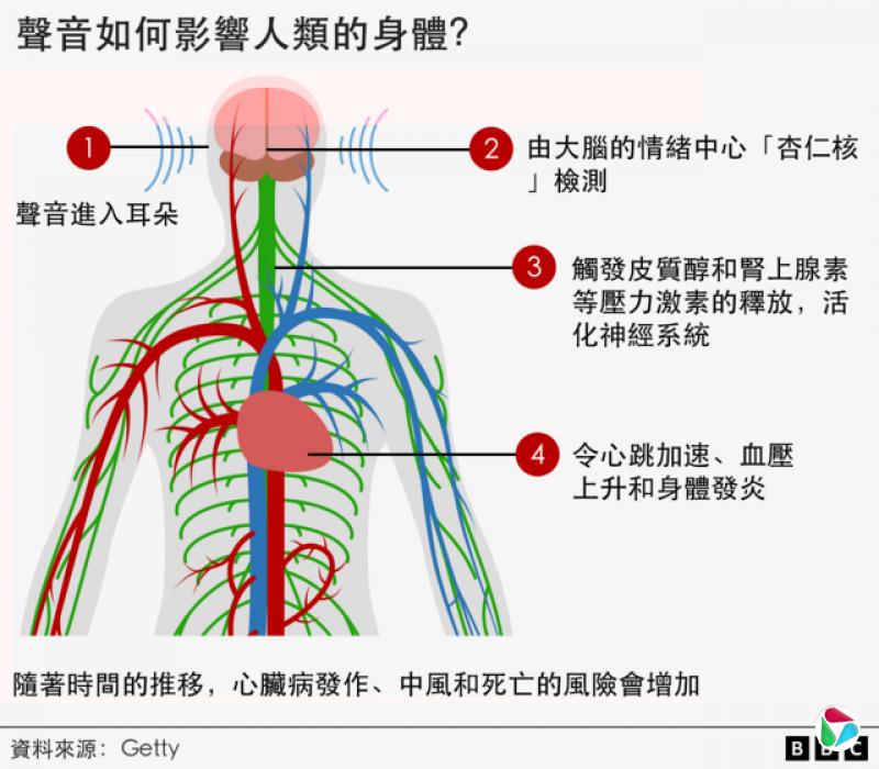 �������Ӱ����������壿1 ����������� 2 �ɴ��Ե��������ġ����ʺˡ���� 3 ����Ƥ�ʴ����������ص�ѹ�����ص��ͷţ����ϵͳ 4 ���������١�Ѫѹ���������巢�ף�����ʱ������ƣ����ಡ�������з�������ķ��ջ�����