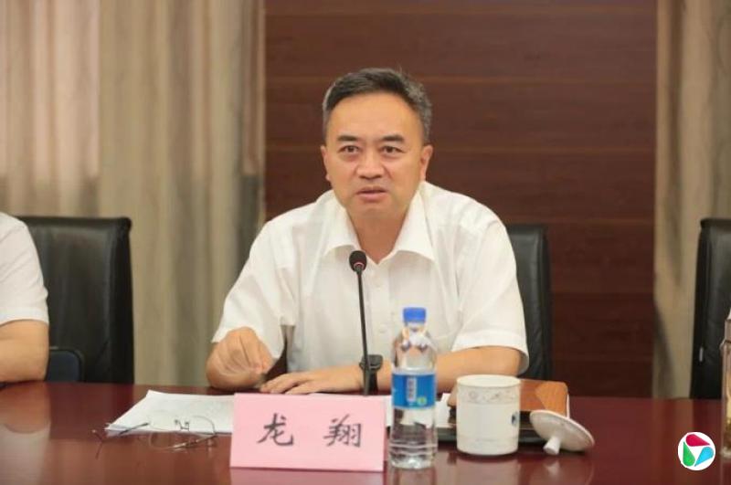龙翔,被罢免