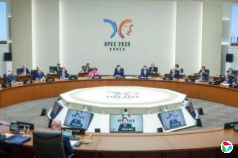习近平:中国愿同APEC各成员提升民众AI素养弥合智能鸿沟