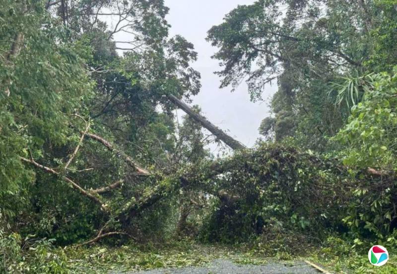 台风“海鸥”给菲律宾带来强风暴雨 逾7万人紧急撤离