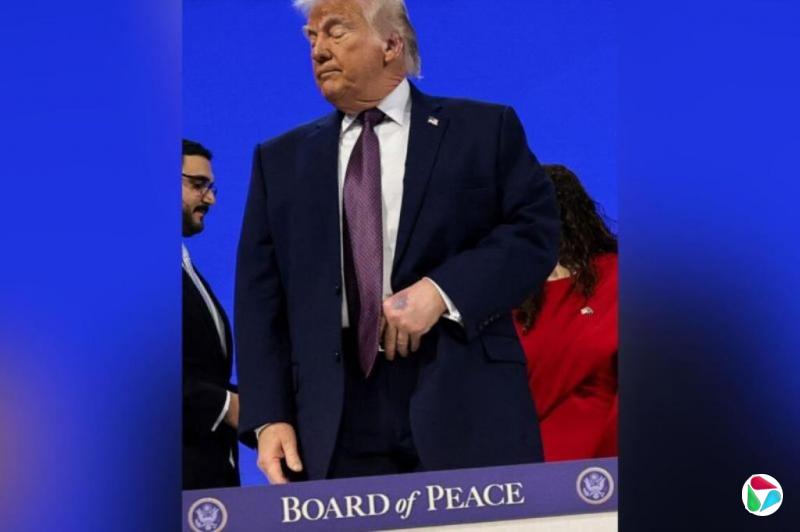 ����������������������ע