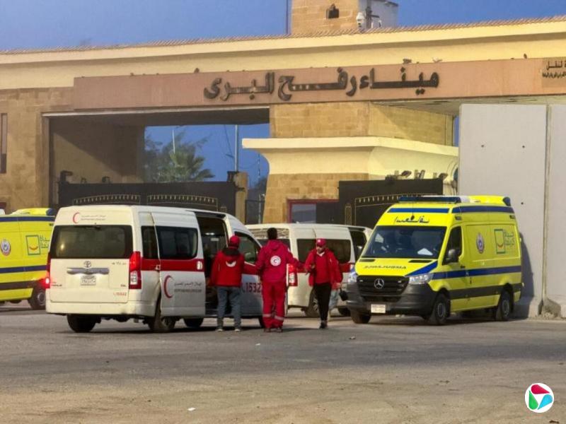 ��ɫ�����ؿ������ڰ� ά�֡���Ҫ��ȫ���ơ�