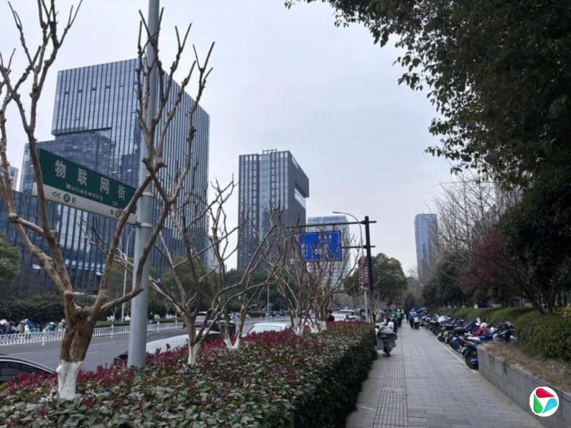 杨丹旭:一场酒局打碎杭州滤镜?