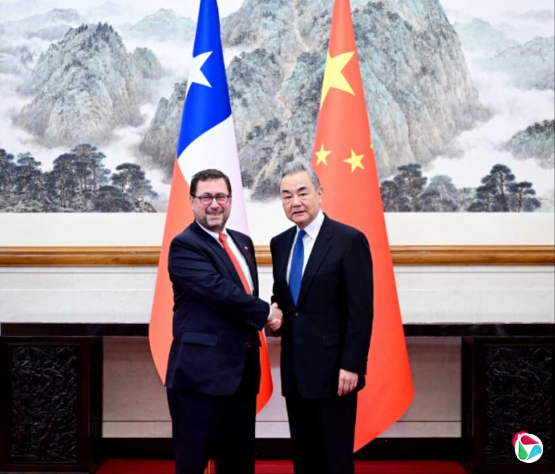 王毅:中智关系发展最重要经验在于独立自主外交政策