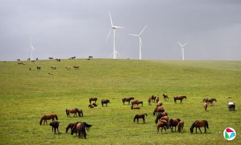 ����죺������쭣��Ӿ�������ˮ���ţ�