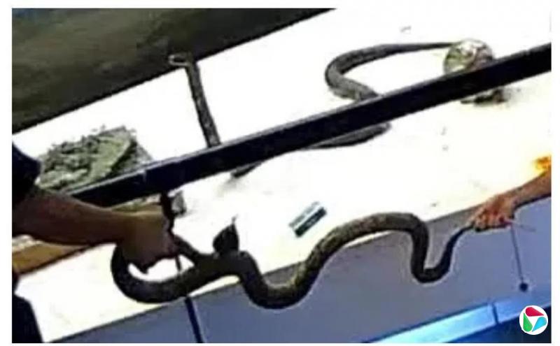 �й����ﲩ����������뺢�����ֵ��±걾����