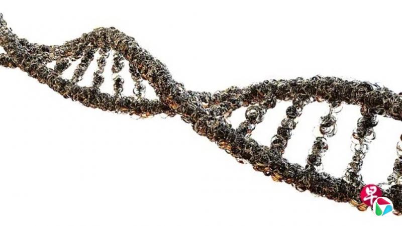 科学家发现强迫症相关基因 有望找到新疗法