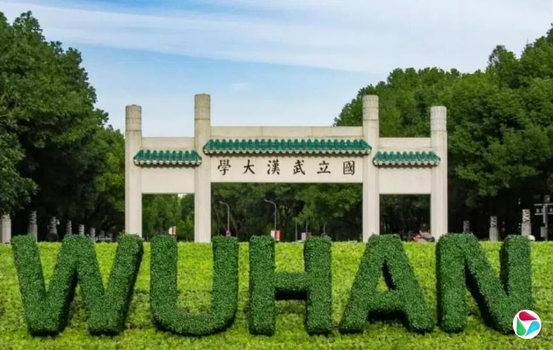 武汉大学教师被86页长文举报 学校已启动调查