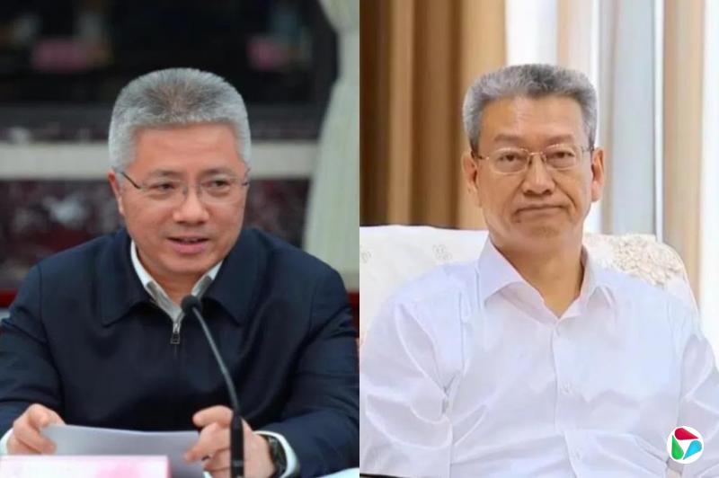杨丹旭:正部级梯队的新星