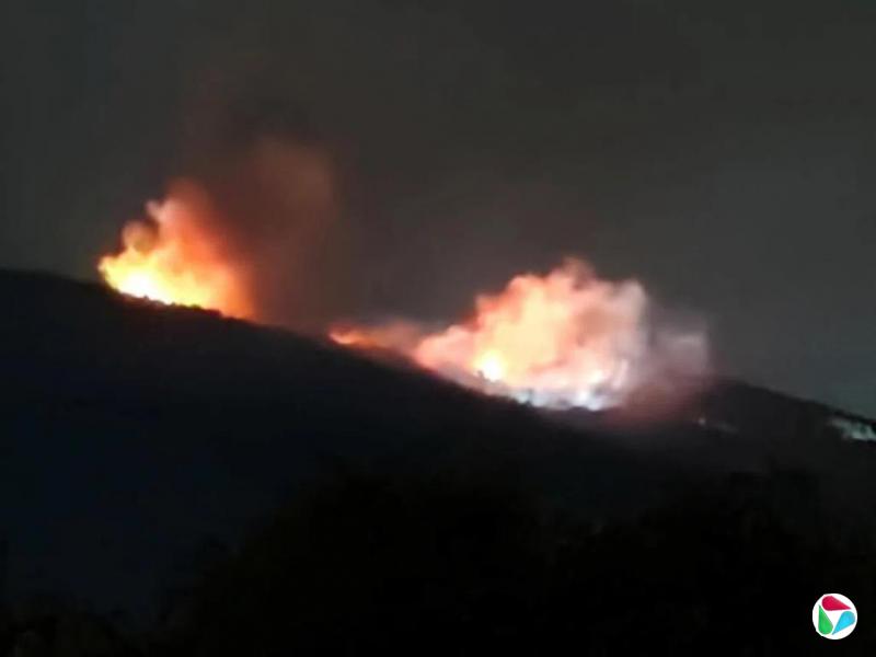 保加利亚又一军火库爆炸起火 当局疑纵火展开调查